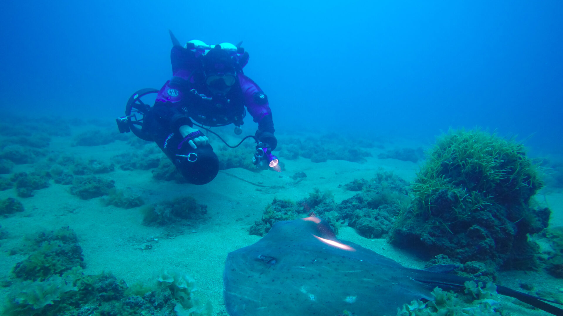 Scuba diving in Lebanon